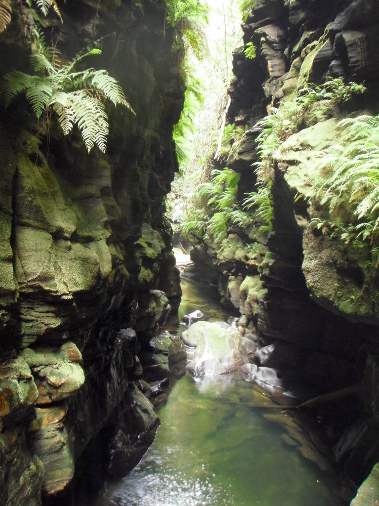 Claustral Canyon - fat canyoners