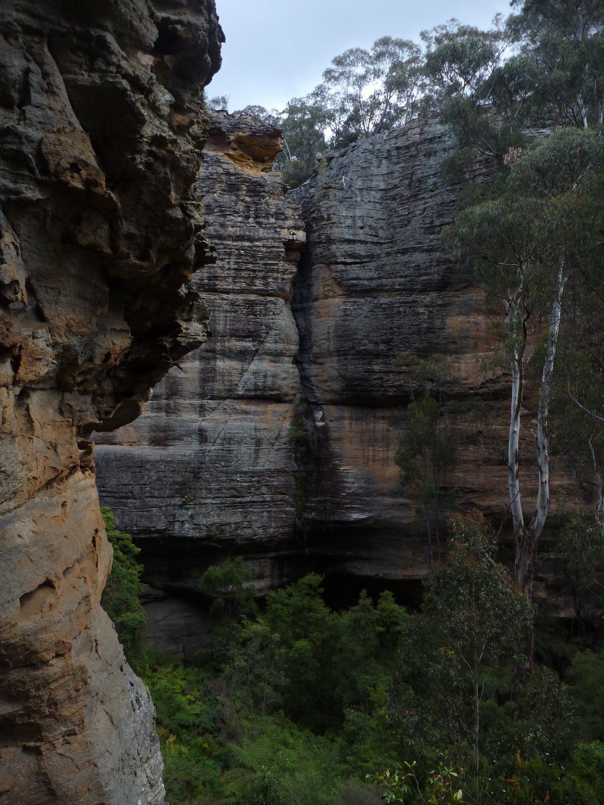 Penrose Gully