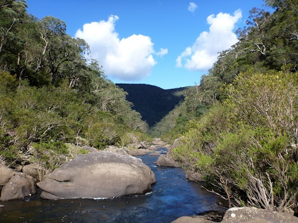 P1020010