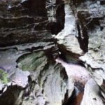 Tiger Snake and Penrose Gully revisited