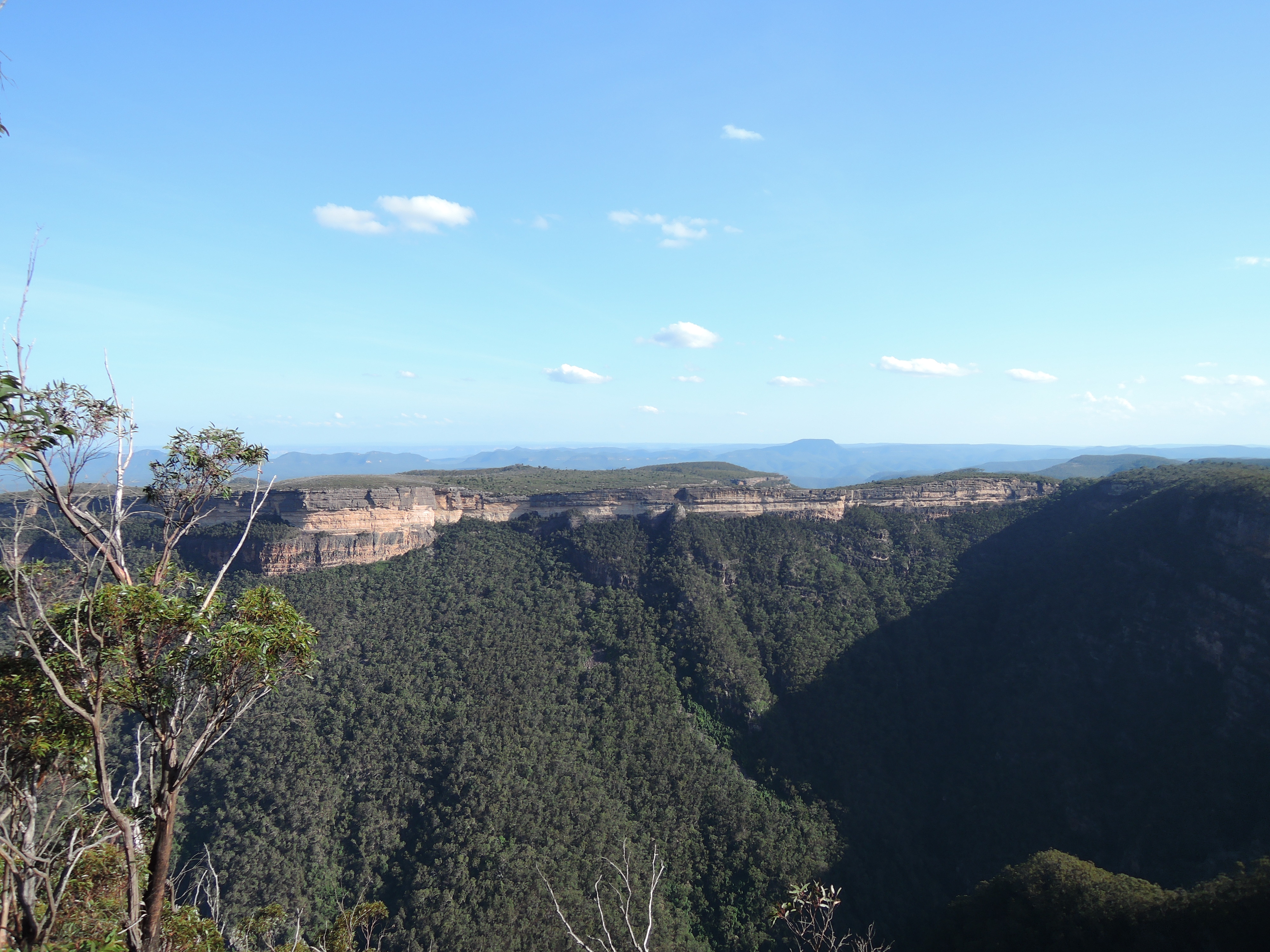 View from Spire Head towards Kanangra Walls Lookout, with Kalang Falls on the right